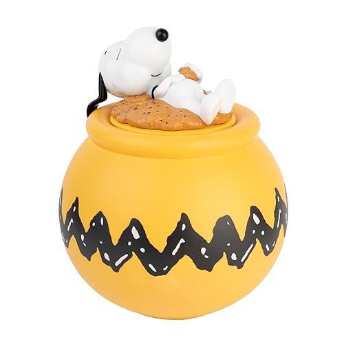 Biscottiera di Snoopy, Portabiscotti Peanuts, idea regalo per bambini e adulti